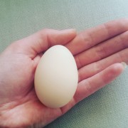 img_20160306_140906.jpg